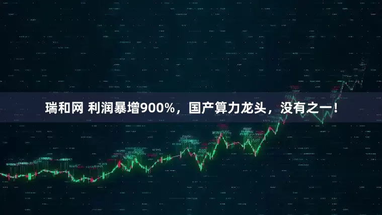 瑞和网 利润暴增900%，国产算力龙头，没有之一！