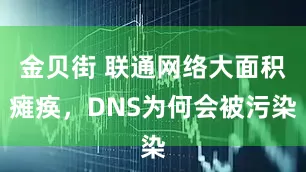 金贝街 联通网络大面积瘫痪，DNS为何会被污染