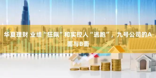 华夏理财 业绩“狂飙”和实控人“逃跑”，九号公司的A面与B面