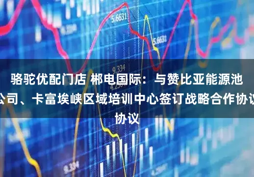 骆驼优配门店 郴电国际：与赞比亚能源池公司、卡富埃峡区域培训中心签订战略合作协议