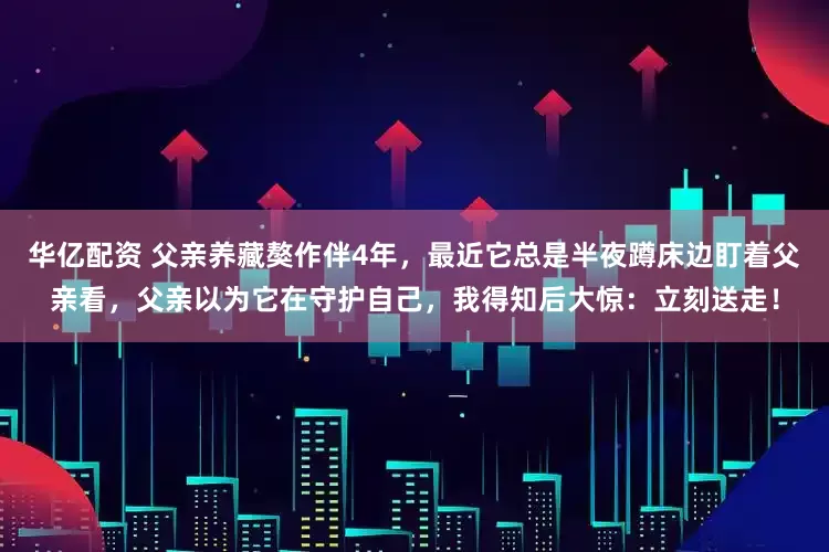 华亿配资 父亲养藏獒作伴4年，最近它总是半夜蹲床边盯着父亲看，父亲以为它在守护自己，我得知后大惊：立刻送走！