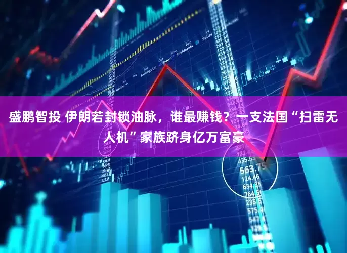 盛鹏智投 伊朗若封锁油脉，谁最赚钱？一支法国“扫雷无人机”家族跻身亿万富豪